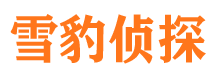 道真市私家侦探